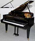 Flügel-Schimmel-208T-schwarz-1-c